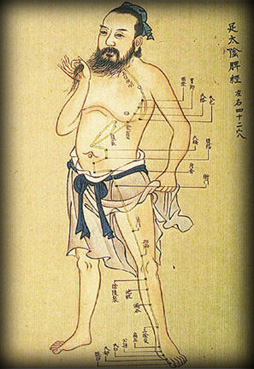 acupuncture graph
